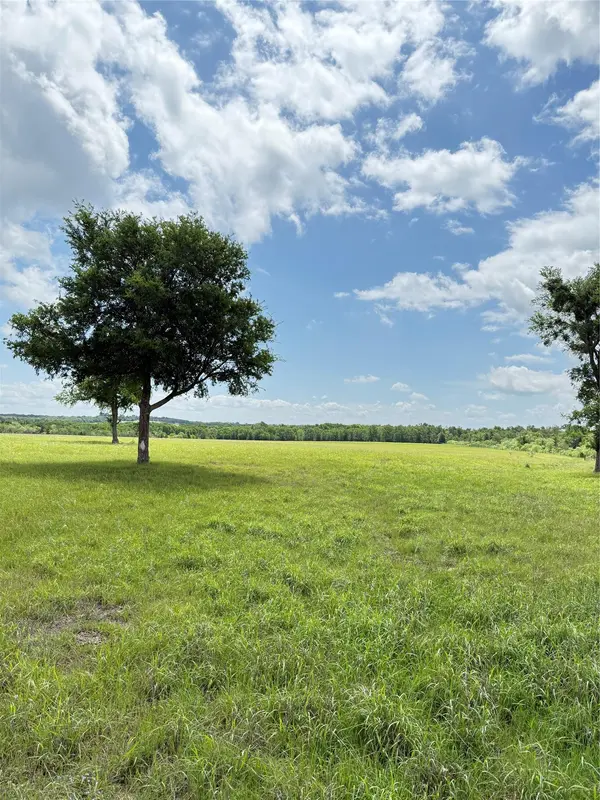 674 County Road 309, Rockdale, TX 76567