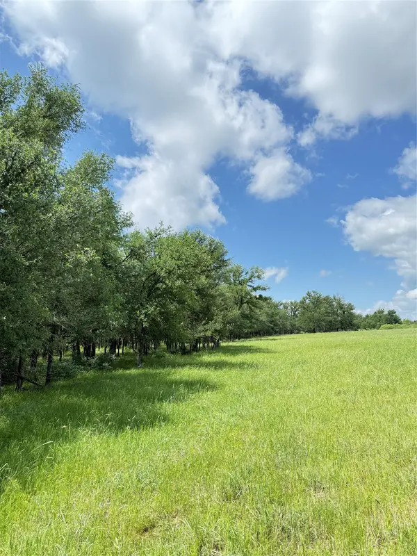 674 County Road 309, Rockdale, TX 76567