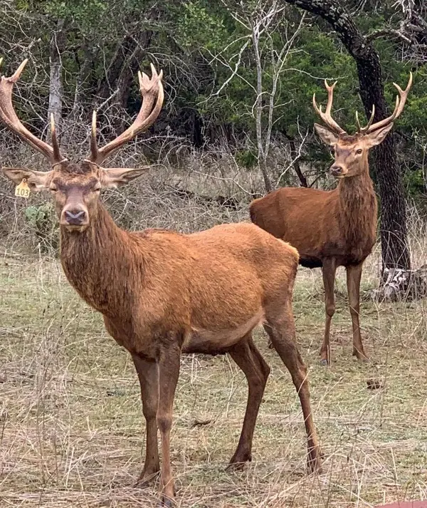TBD 281 HWY, Lampasas, TX 76550
