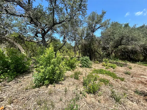 18310 Austin DR, Jonestown, TX 78645