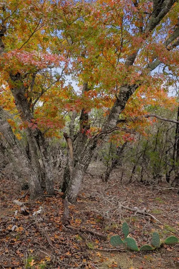 TBD Stagecoach Ranch LOOP, Dripping Springs, TX 78620