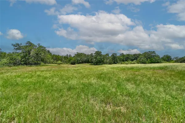 159 Starlight Path, Red Rock, TX 78662