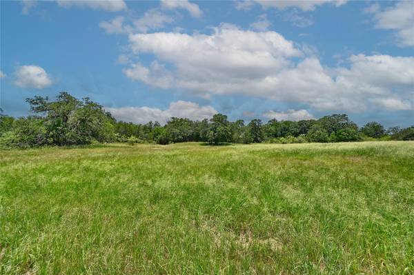 159 Starlight Path, Red Rock, TX 78662