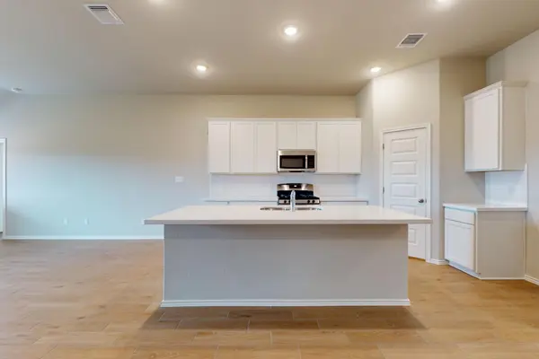 19913 Schatz WAY, Manor, TX 78653