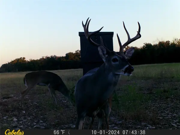 000 C.R,316, Walburg, TX 78626
