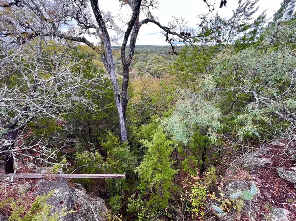 413 & 431 Turkey Drive HOLW, Dripping Springs, TX 78636