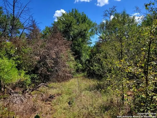 TBD Dale RD, Dale, TX 78616