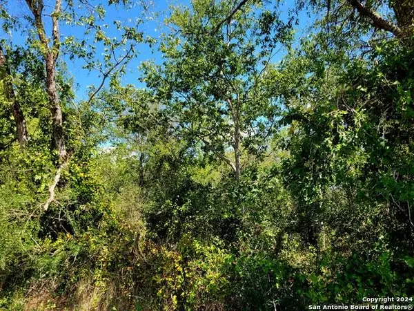 TBD Dale RD, Dale, TX 78616