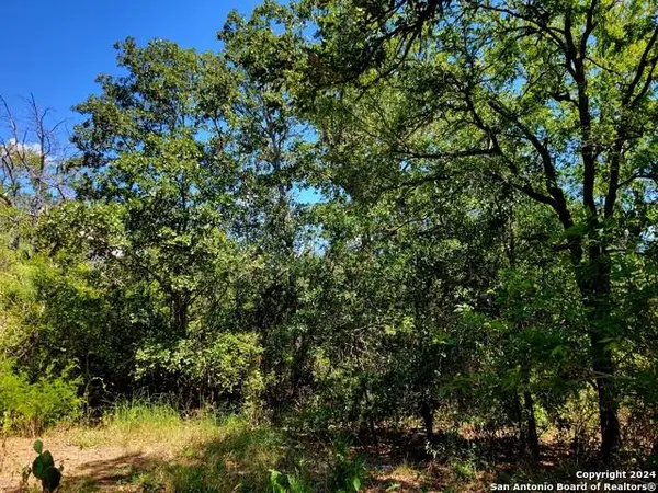 TBD Dale RD, Dale, TX 78616