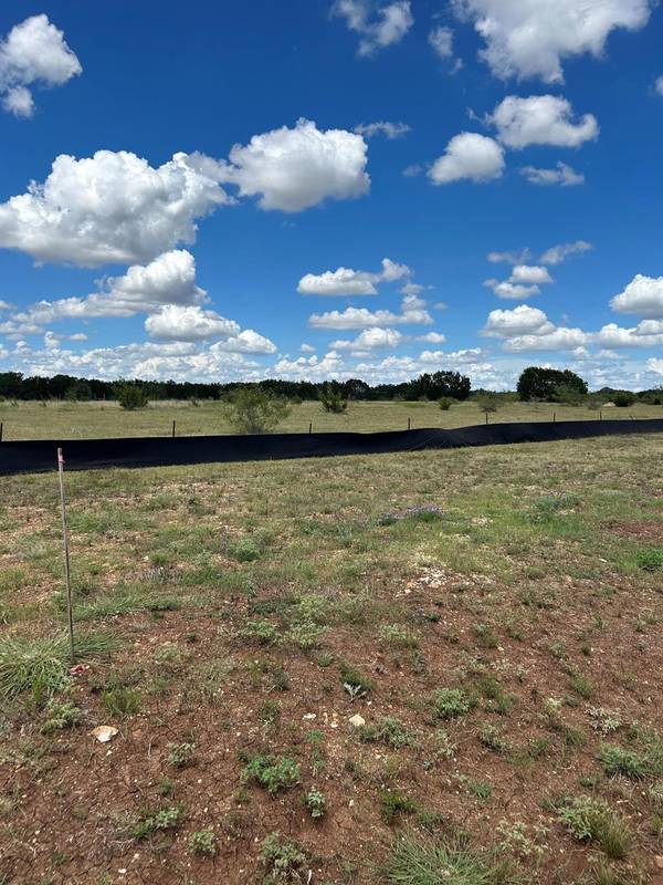 542 Arborland DR, Georgetown, TX 78633