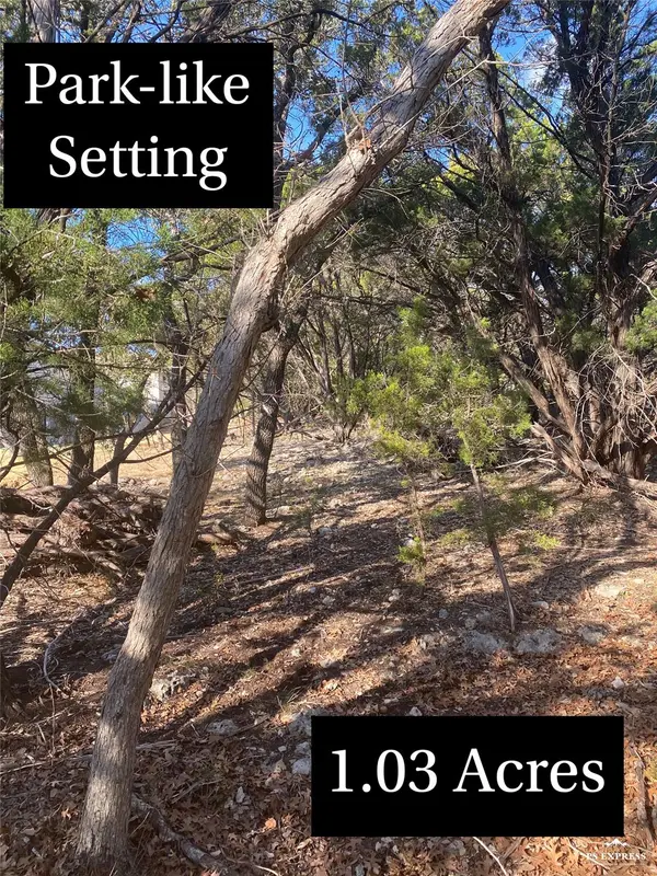 17601 Hunters HOLW, Jonestown, TX 78645