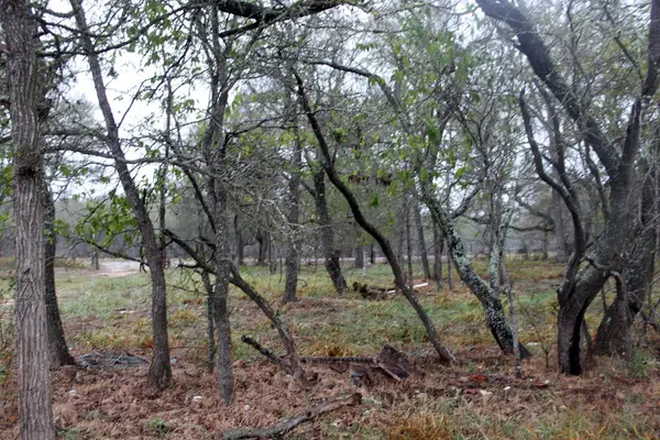 3816 FM 1854, Dale, TX 78616
