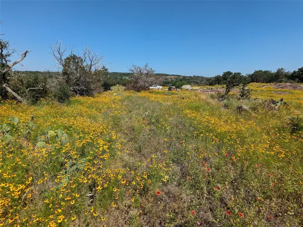 79 Peninsula DR, Burnet, TX 78611