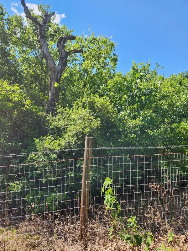 Lot-49 Flaming Oak Drive, Bastrop, TX 78602