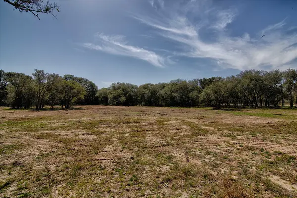 265 Wigeon LN, Columbus, TX 78934