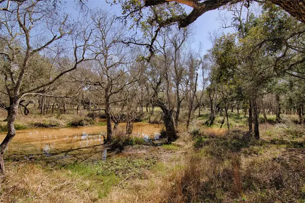 265 Wigeon LN, Columbus, TX 78934