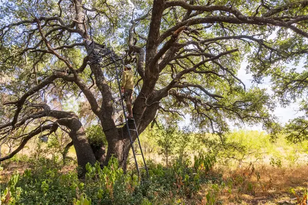 38 County Road 550, Mullin, TX 76864