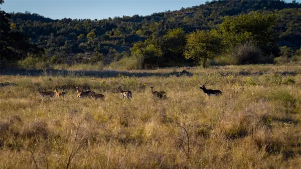 7702 Ranch Road 965, Llano, TX 78624
