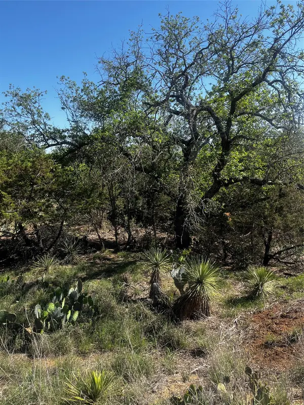 0 Castlebriar ST, Granite Shoals, TX 78654