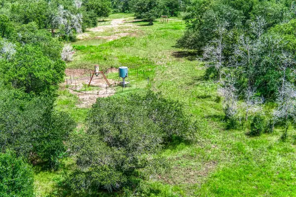 TBD(+/- 237.91 AC) HWY 36 S, Caldwell, TX 77836