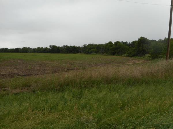 TBD N Fm 619 RD, Taylor, TX 76574