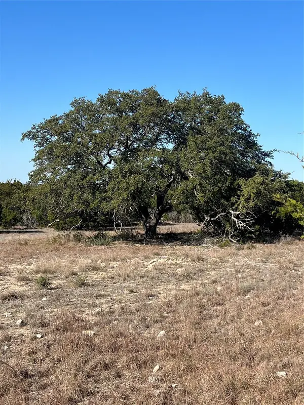 Lot 138 High Point DR, Kempner, TX 76539