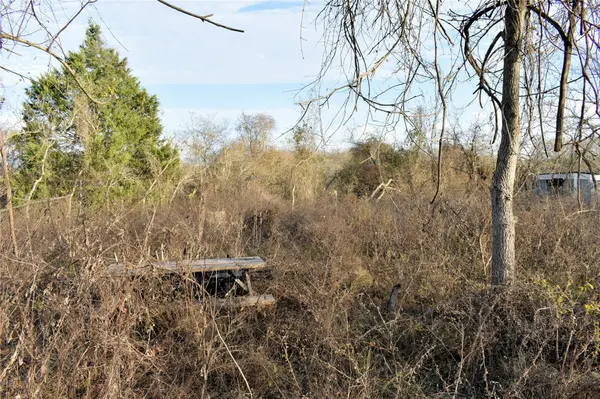 TBD Young RD, Smithville, TX 78957