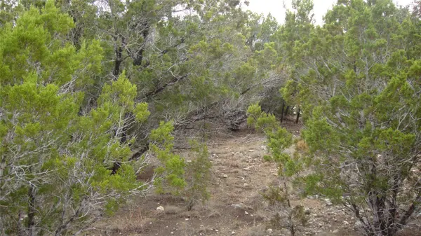 7700 Bar-K Ranch RD, Lago Vista, TX 78645