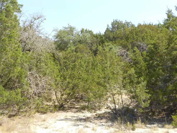 3304 Marshall Ave, Lago Vista, TX 78645