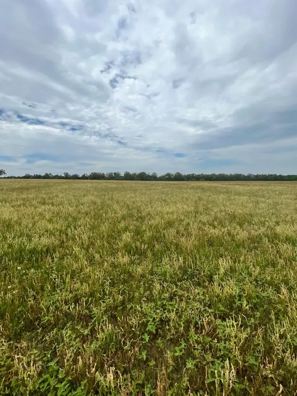 TBD2 Davis RD, Smithville, TX 78957