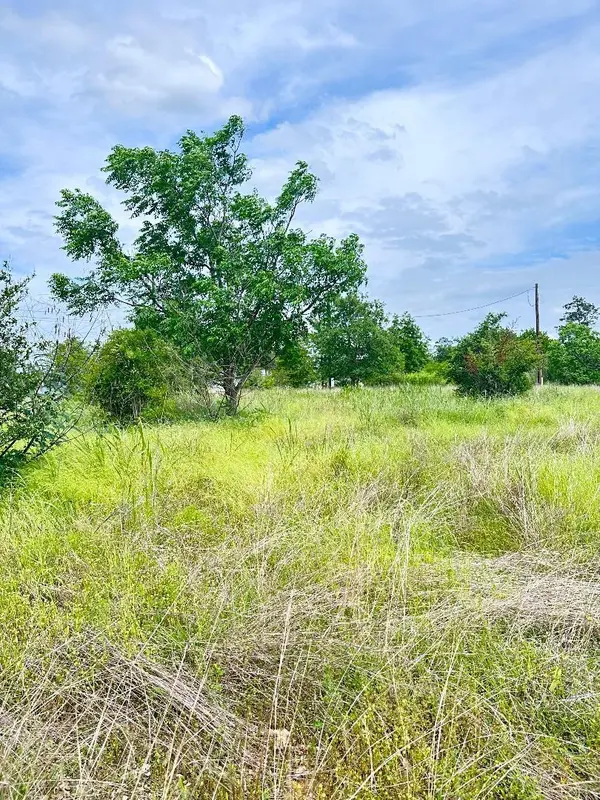 126 Wild Bird LOOP, Smithville, TX 78957