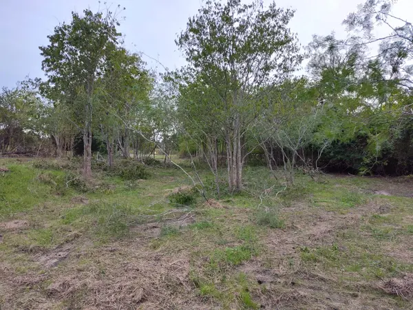 206 W Roberts Ave, Rockdale, TX 76567