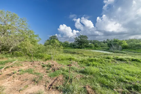 Lot 1-E County Road 491, Gonzales, TX 78629