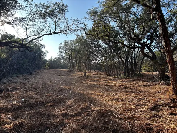 301 CR-282 LOT 1 RD, Liberty Hill, TX 78642