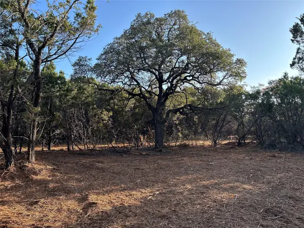 301 CR-282 LOT 1 RD, Liberty Hill, TX 78642