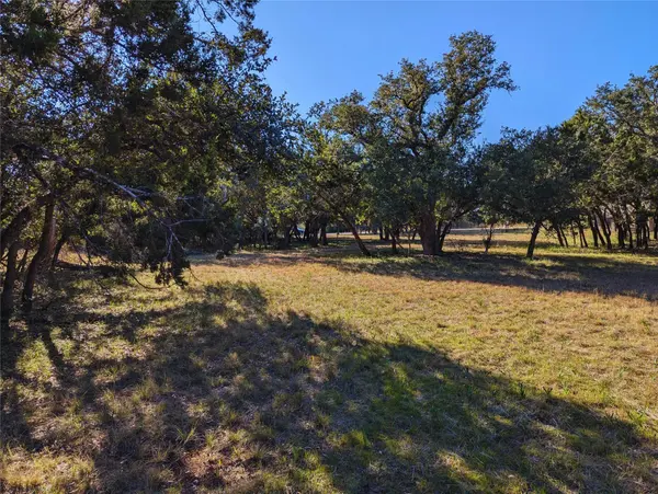 541 Onion Creek LN, Driftwood, TX 78619