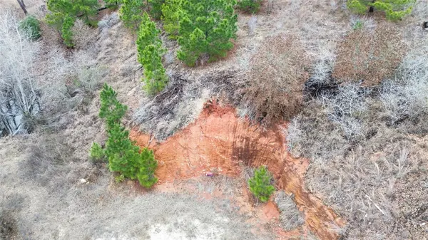 LOT 180 / R32273 Keo Kea CT, Bastrop, TX 78602