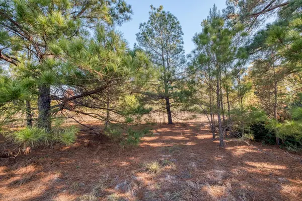 000 Dunbar Rd (Tract 3) RD, Mcdade, TX 78650