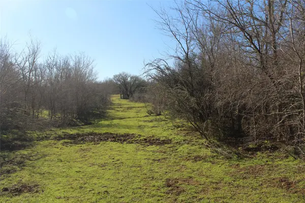 1223 County Road 429, Dime Box, TX 77853