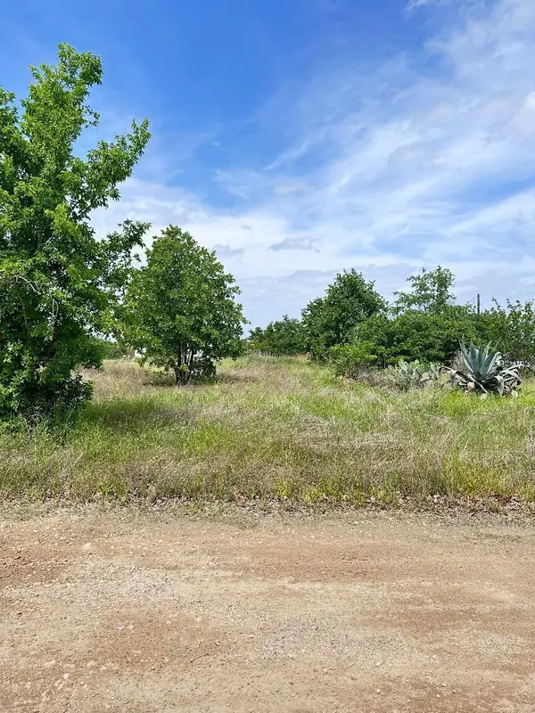 138 Wild Bird LOOP, Smithville, TX 78957