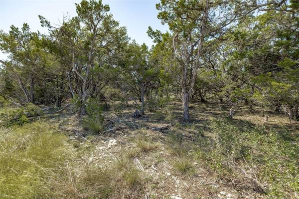 TBD County Road 281 Lot 1, Leander, TX 78641