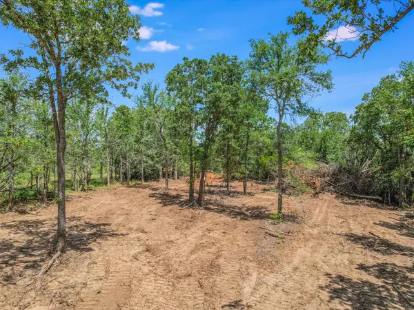 Lot 29D Mesquite DR, Cedar Creek, TX 78612