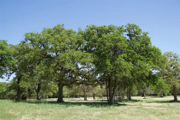 1035 Old Sayers RD, Elgin, TX 78621