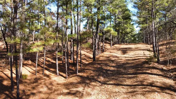 0 Pine Lodge Drive Lot 26, Bastrop, TX 78602