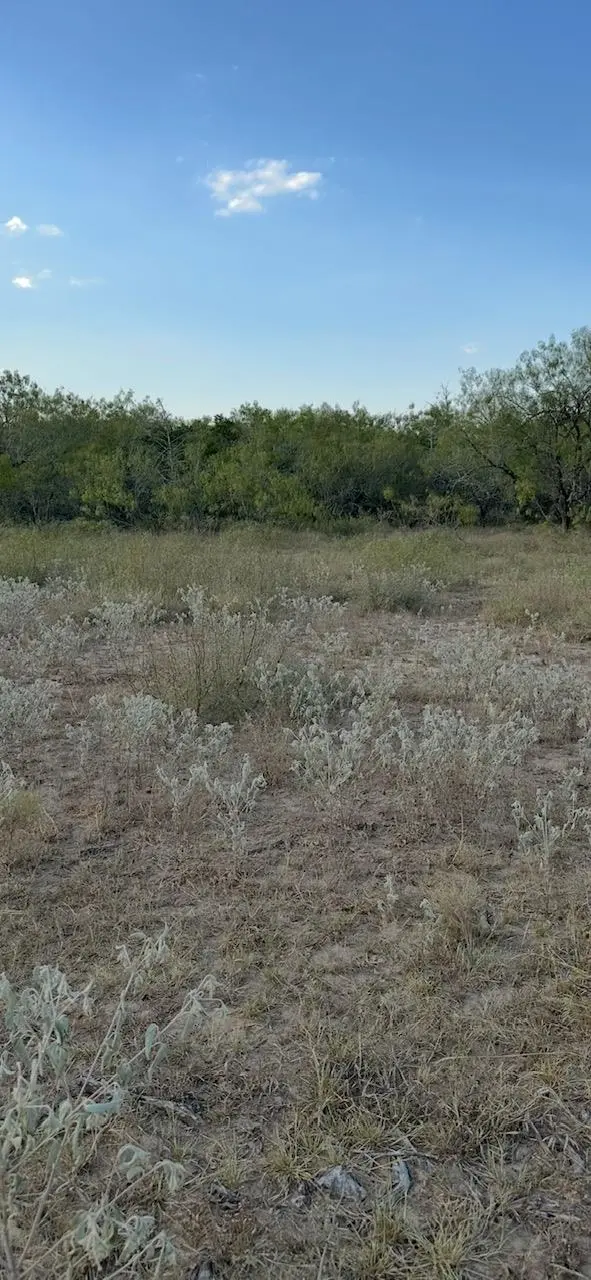 000 Carter RD, Dale, TX 78616