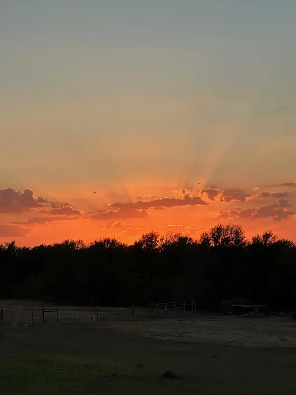 000 Carter RD, Dale, TX 78616