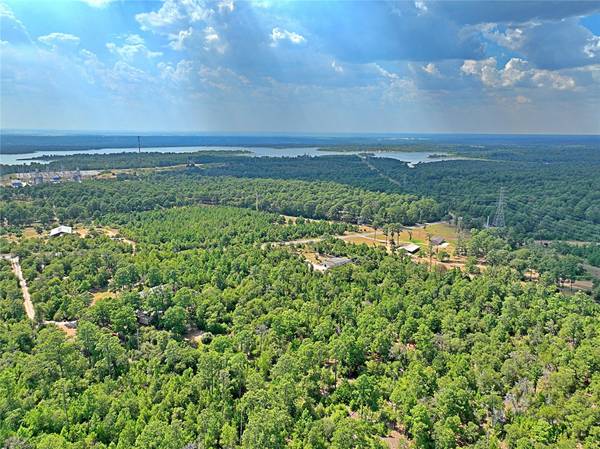 TBD PINE TREE LOOP, Bastrop, TX 78602