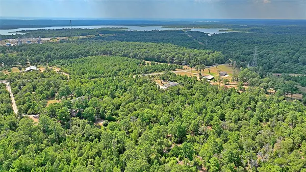 TBD PINE TREE LOOP, Bastrop, TX 78602