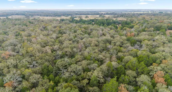 TBD County RD #415, Lexington, TX 78947