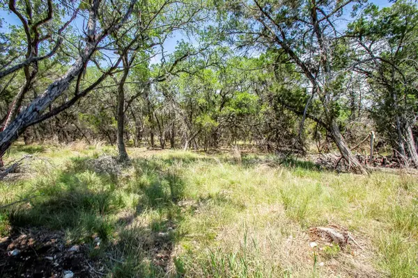 41 Persimmon DR, Wimberley, TX 78676